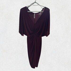 Elegant Burgundy Dress